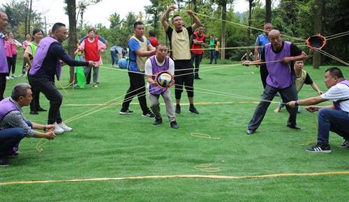 新力量&老同志，将产生什么化学反应？